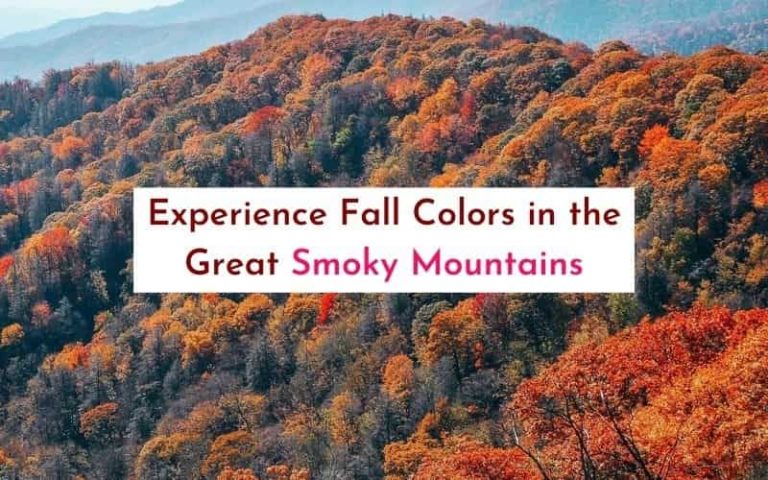 Experience Fall Colors in the Great Smoky Mountains