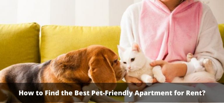 How to Find the Best Pet-Friendly Apartment for Rent?