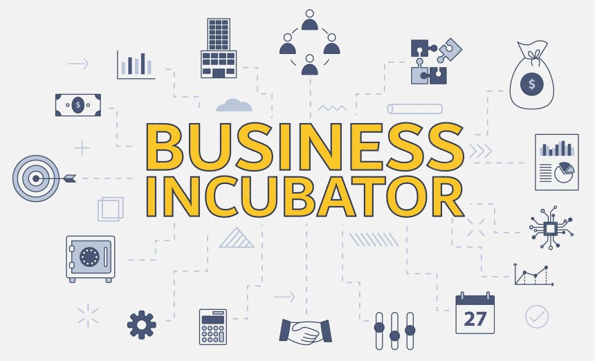 Definition of an incubator what it is and examples Connecting Clients