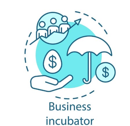 incubator definitions